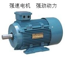 國標(biāo)全銅線，動(dòng)力強(qiáng)勁之選 臺州強(qiáng)速Y180L-6 15KW三相異步電動(dòng)機(jī)深度解析